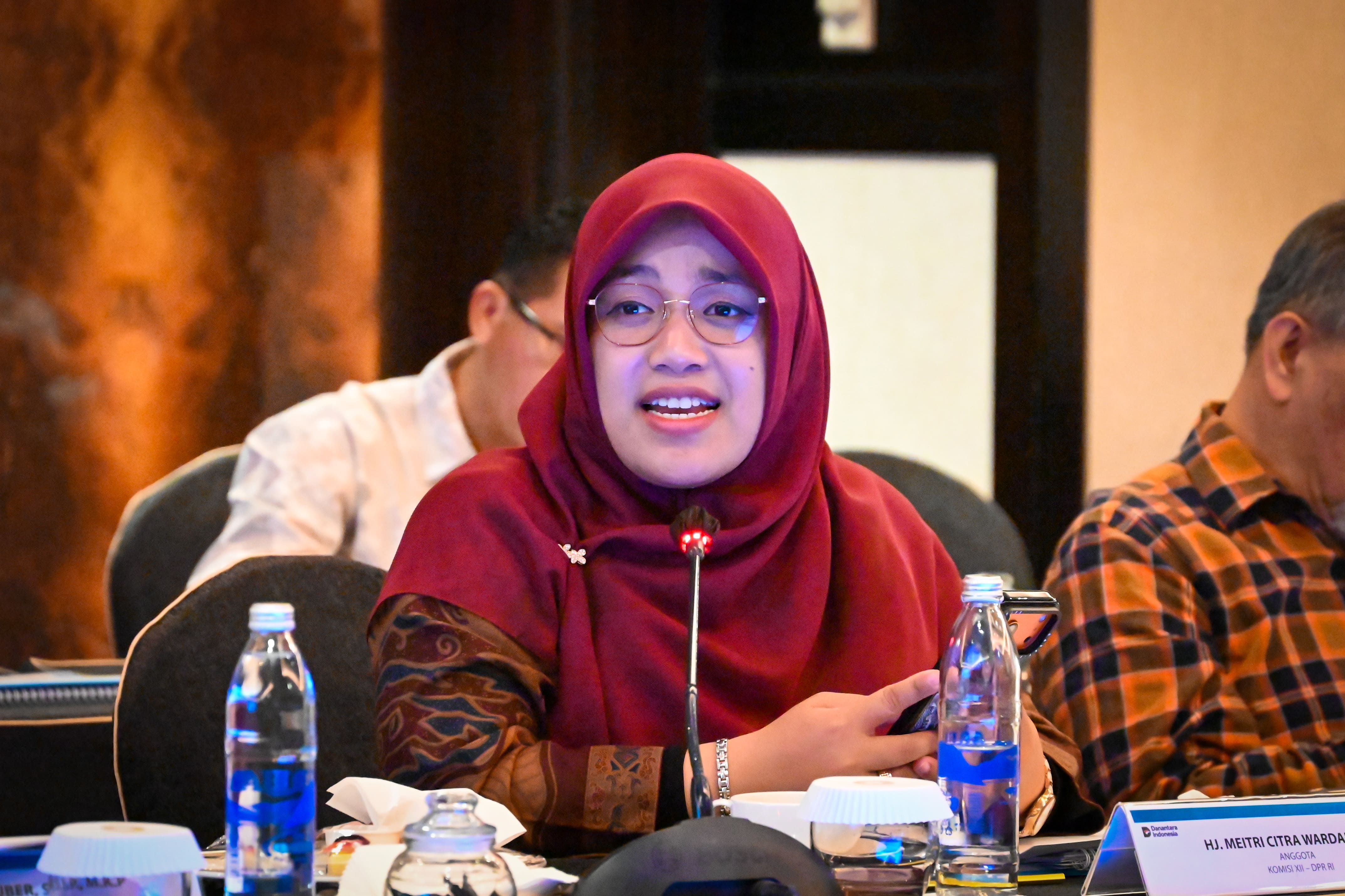Anggota Komisi XII DPR RI, Meitri Citra Wardani